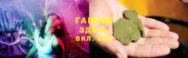 стаф Осинники