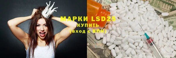 стаф Осинники