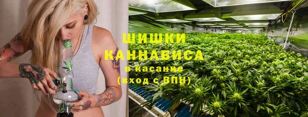стаф Осинники