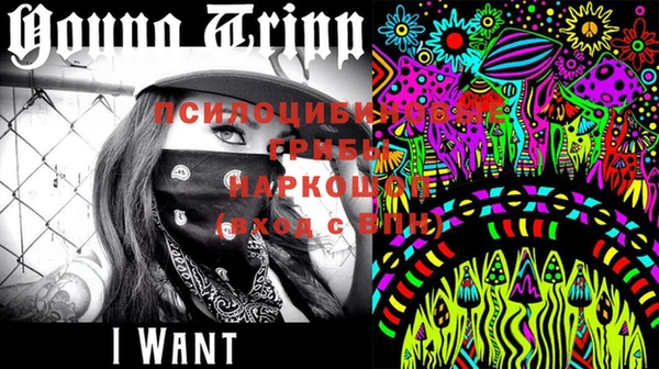 стаф Осинники