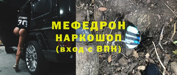 стаф Осинники