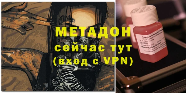 стаф Осинники