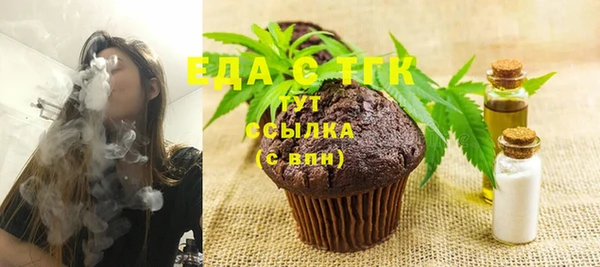 стаф Осинники