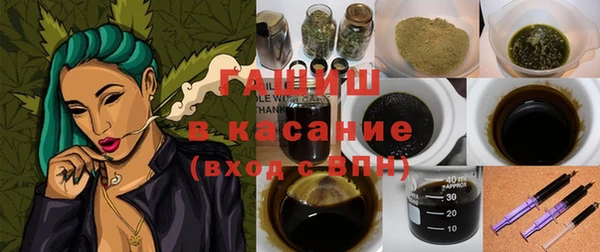 стаф Осинники