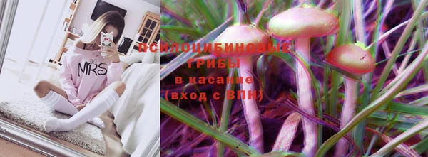стаф Осинники