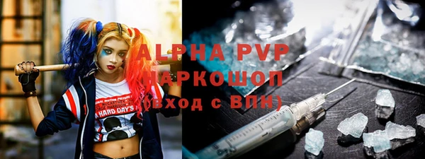 стаф Осинники